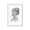 Picture of Flowers and leaves II _GroupedProduct_Rectangle_Portrait_Framed_Matted_
