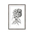 Picture of Flowers and leaves II _GroupedProduct_Rectangle_Portrait_Framed_Matted_