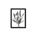 Picture of Spring Magnolia Blossoms _GroupedProduct_Rectangle_Portrait_Framed_Matted_