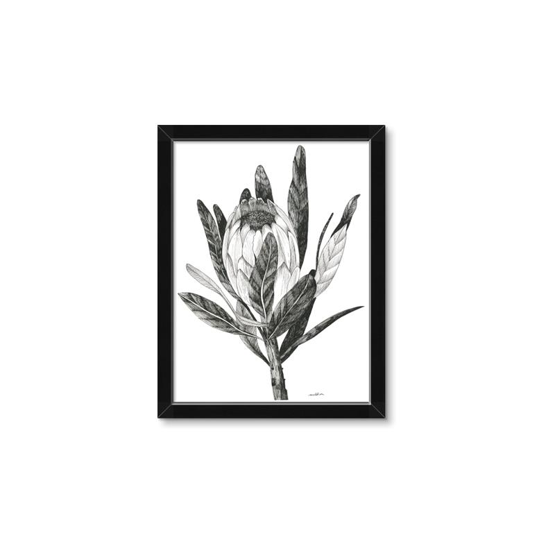 Picture of Spring Magnolia Blossoms _GroupedProduct_Rectangle_Portrait_Framed_Matted_