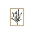 Picture of Spring Magnolia Blossoms _GroupedProduct_Rectangle_Portrait_Framed_Matted_