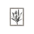 Picture of Spring Magnolia Blossoms _GroupedProduct_Rectangle_Portrait_Framed_Matted_