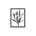 Picture of Spring Magnolia Blossoms _GroupedProduct_Rectangle_Portrait_Framed_Matted_