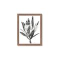 Picture of Spring Magnolia Blossoms _GroupedProduct_Rectangle_Portrait_Framed_Matted_