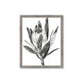 Picture of Spring Magnolia Blossoms _GroupedProduct_Rectangle_Portrait_Framed_Matted_