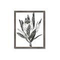 Picture of Spring Magnolia Blossoms _GroupedProduct_Rectangle_Portrait_Framed_Matted_