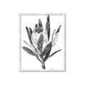 Picture of Spring Magnolia Blossoms _GroupedProduct_Rectangle_Portrait_Framed_Matted_