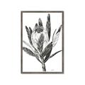 Picture of Spring Magnolia Blossoms _GroupedProduct_Rectangle_Portrait_Framed_Matted_