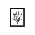 Picture of Spring Magnolia Blossoms _GroupedProduct_Rectangle_Portrait_Framed_Matted_