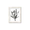Picture of Spring Magnolia Blossoms _GroupedProduct_Rectangle_Portrait_Framed_Matted_