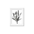 Picture of Spring Magnolia Blossoms _GroupedProduct_Rectangle_Portrait_Framed_Matted_