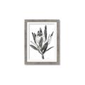 Picture of Spring Magnolia Blossoms _GroupedProduct_Rectangle_Portrait_Framed_Matted_