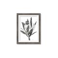 Picture of Spring Magnolia Blossoms _GroupedProduct_Rectangle_Portrait_Framed_Matted_