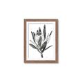 Picture of Spring Magnolia Blossoms _GroupedProduct_Rectangle_Portrait_Framed_Matted_