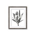 Picture of Spring Magnolia Blossoms _GroupedProduct_Rectangle_Portrait_Framed_Matted_