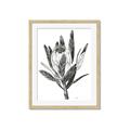 Picture of Spring Magnolia Blossoms _GroupedProduct_Rectangle_Portrait_Framed_Matted_