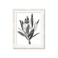 Picture of Spring Magnolia Blossoms _GroupedProduct_Rectangle_Portrait_Framed_Matted_