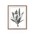 Picture of Spring Magnolia Blossoms _GroupedProduct_Rectangle_Portrait_Framed_Matted_