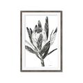 Picture of Spring Magnolia Blossoms _GroupedProduct_Rectangle_Portrait_Framed_Matted_