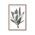 Picture of Spring Magnolia Blossoms _GroupedProduct_Rectangle_Portrait_Framed_Matted_