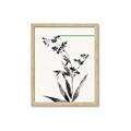 Picture of Rowan Tree _GroupedProduct_Rectangle_Portrait_Framed_Matted_