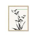 Picture of Rowan Tree _GroupedProduct_Rectangle_Portrait_Framed_Matted_