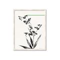 Picture of Rowan Tree _GroupedProduct_Rectangle_Portrait_Framed_Matted_