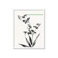 Picture of Rowan Tree _GroupedProduct_Rectangle_Portrait_Framed_Matted_