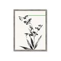 Picture of Rowan Tree _GroupedProduct_Rectangle_Portrait_Framed_Matted_