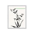 Picture of Rowan Tree _GroupedProduct_Rectangle_Portrait_Framed_Matted_