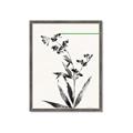 Picture of Rowan Tree _GroupedProduct_Rectangle_Portrait_Framed_Matted_