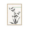 Picture of Rowan Tree _GroupedProduct_Rectangle_Portrait_Framed_Matted_
