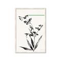 Picture of Rowan Tree _GroupedProduct_Rectangle_Portrait_Framed_Matted_