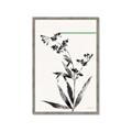 Picture of Rowan Tree _GroupedProduct_Rectangle_Portrait_Framed_Matted_