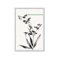 Picture of Rowan Tree _GroupedProduct_Rectangle_Portrait_Framed_Matted_
