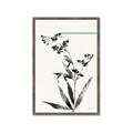 Picture of Rowan Tree _GroupedProduct_Rectangle_Portrait_Framed_Matted_