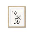 Picture of Rowan Tree _GroupedProduct_Rectangle_Portrait_Framed_Matted_