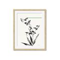 Picture of Rowan Tree _GroupedProduct_Rectangle_Portrait_Framed_Matted_