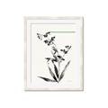 Picture of Rowan Tree _GroupedProduct_Rectangle_Portrait_Framed_Matted_