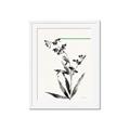 Picture of Rowan Tree _GroupedProduct_Rectangle_Portrait_Framed_Matted_