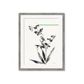 Picture of Rowan Tree _GroupedProduct_Rectangle_Portrait_Framed_Matted_