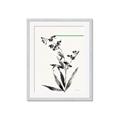 Picture of Rowan Tree _GroupedProduct_Rectangle_Portrait_Framed_Matted_