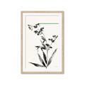 Picture of Rowan Tree _GroupedProduct_Rectangle_Portrait_Framed_Matted_