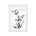Picture of Rowan Tree _GroupedProduct_Rectangle_Portrait_Framed_Matted_