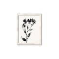 Picture of Black flower II (Ink border black ) _GroupedProduct_Rectangle_Portrait_Framed_Matted_