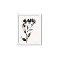 Picture of Black flower II (Ink border black ) _GroupedProduct_Rectangle_Portrait_Framed_Matted_