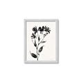 Picture of Black flower II (Ink border black ) _GroupedProduct_Rectangle_Portrait_Framed_Matted_