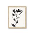 Picture of Black flower II (Ink border black ) _GroupedProduct_Rectangle_Portrait_Framed_Matted_