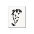 Picture of Black flower II (Ink border black ) _GroupedProduct_Rectangle_Portrait_Framed_Matted_