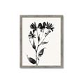 Picture of Black flower II (Ink border black ) _GroupedProduct_Rectangle_Portrait_Framed_Matted_